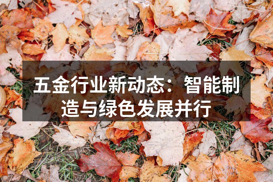 五金行业新动态：智能制造与绿色发展并行